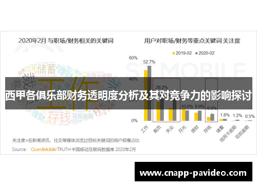 西甲各俱乐部财务透明度分析及其对竞争力的影响探讨