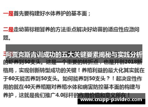 阿贾克斯青训成功的五大关键要素揭秘与实践分析