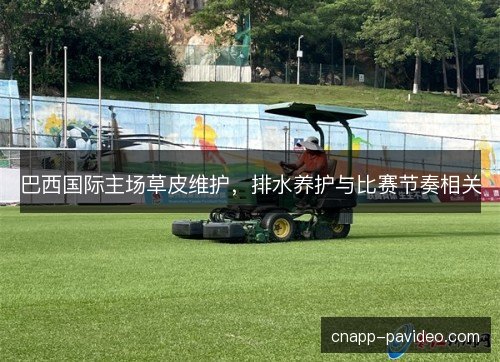 巴西国际主场草皮维护，排水养护与比赛节奏相关